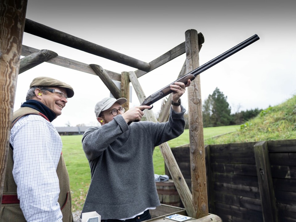 No pigeons were harmed; just this writer's ego