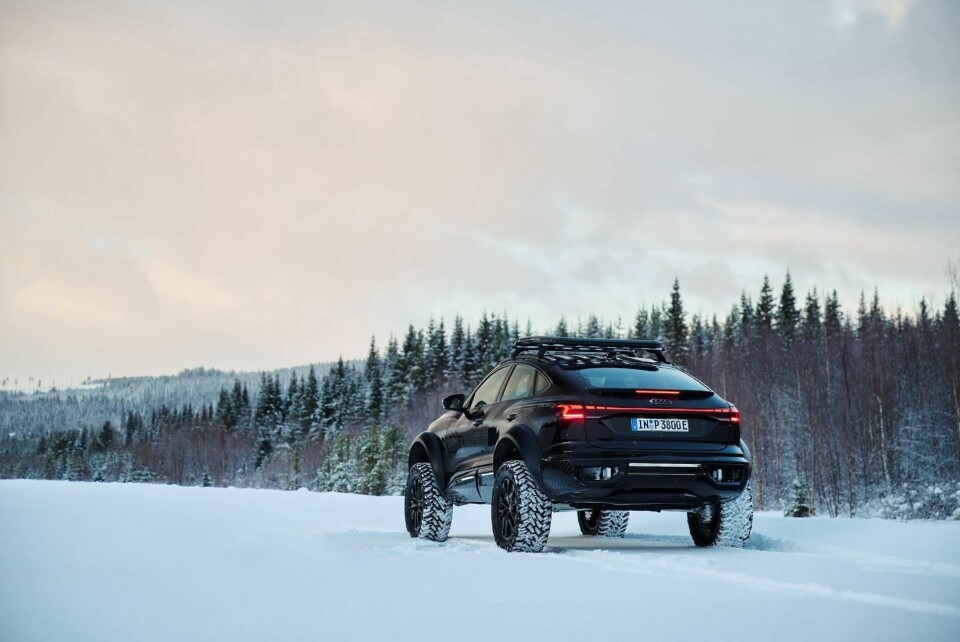 Nice rack…and snow tyres Audi Q6 e-tron 39405-a250021-large