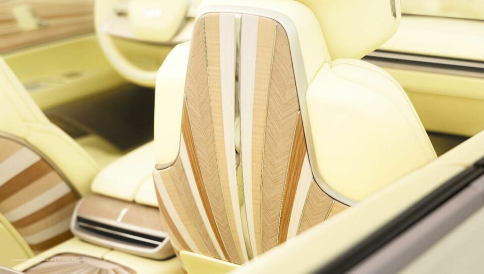 Seat backs of the Cadillac Sollei Cadillac_SOLLEI_AP1_0325