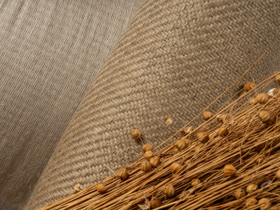 New materials like flax have risen as alternatives, but mass production remains a challenge Bcomp-ampliTex and flax