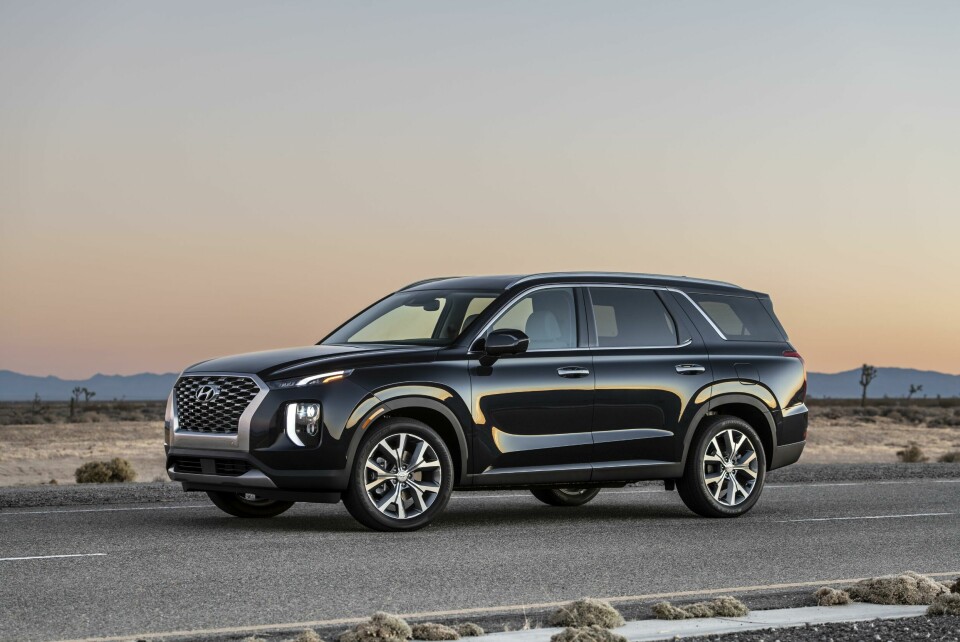 The 2020 Palisade Large-34852-2020Palisade