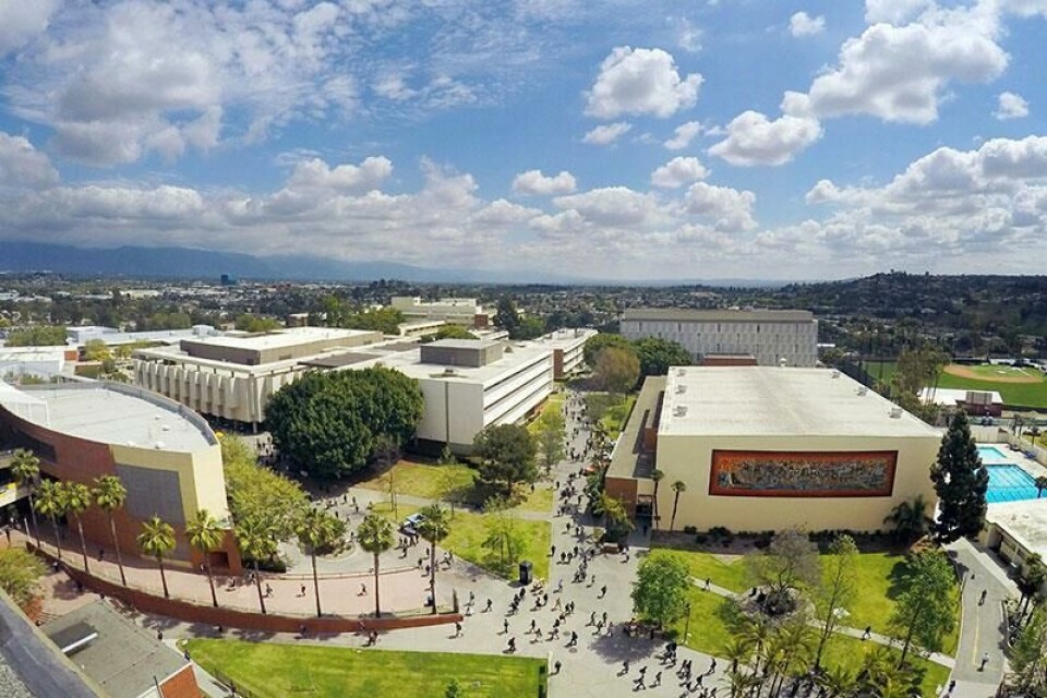 Magnusson studied interior design at California State University California State University