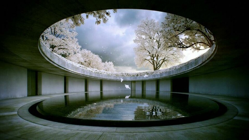 Pixar interviews Tesla at LA Conference benesse-house-tadao-ando.jpg