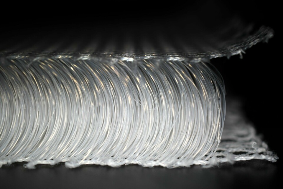 Mono-material construction could boost recyclability Mono Material