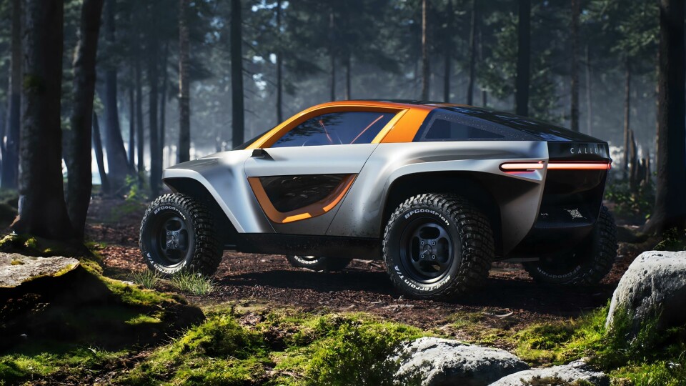 The Callum Skye concept CALLUM SKYE 9 - Forest