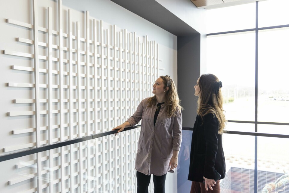 Julie Broekman, General Motors, CMF designer shows CDN’s Laura Burstein her art installation Julie Broekman, General Motors, CMF Designer, with her art installation 2