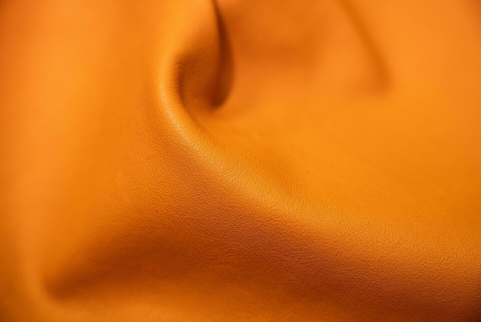 Bio leather and beyond – Brusarosco explores new sustainable solutions B-Foglia (detail 1) DSC01192