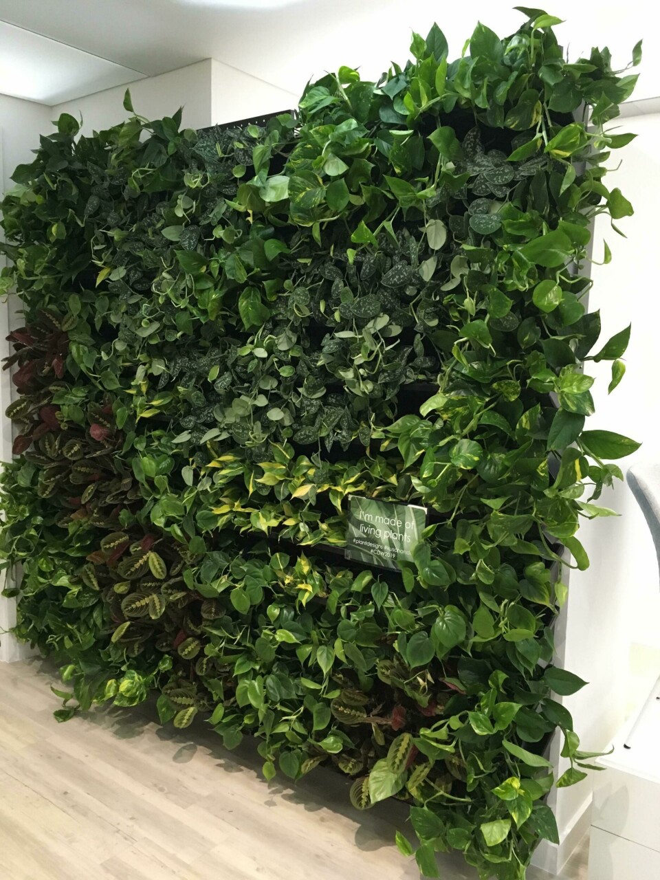 Living wall installation at Kusch+Co CDN Clerkenwell Design Week 2019 living wall
