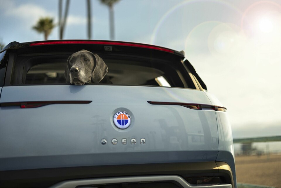 Fisker worked with a supplier to create the thin lights, which will go into production Fisker Ocean exterior 3