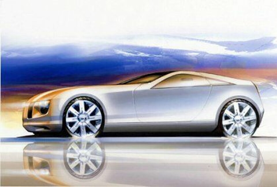 CCotW: Bertone Birusa (2003) birusa-13