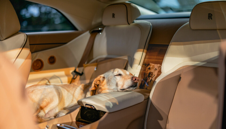 Car Design round-up: Bentley teaser, remastered Esprit & pawfectly bespoke Spectre